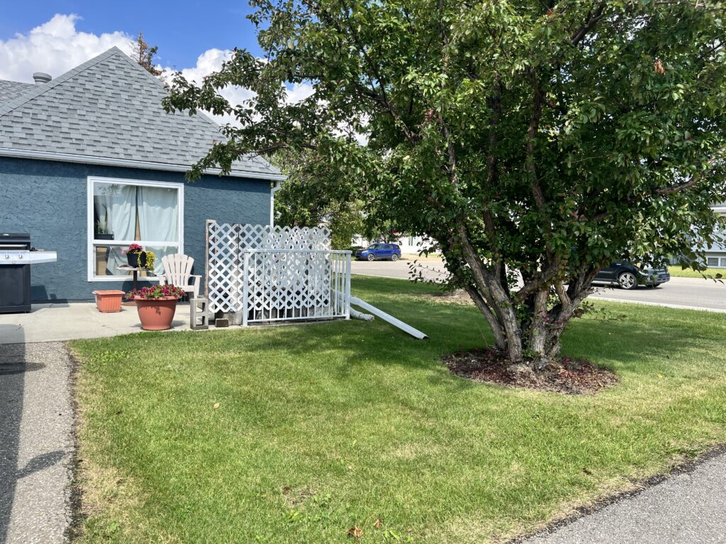 Residential grounds with flowers and a tree