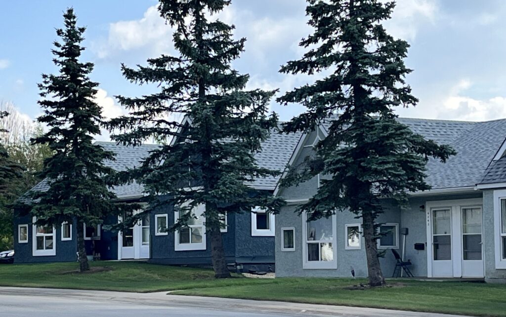 2 Duplexes exterior views with 4 large evergreen trees on a row in front of them